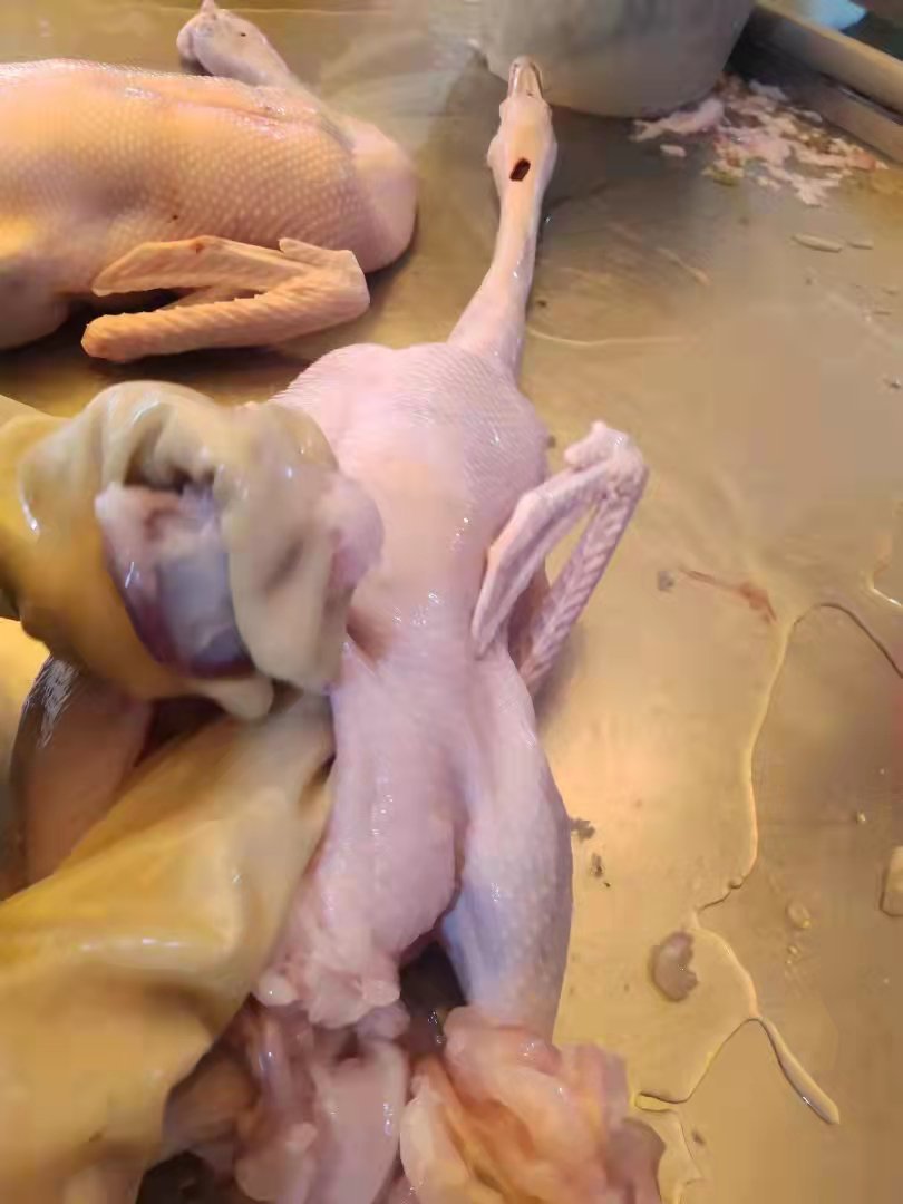 鲜黑棕鹅清远清远黑棕鹅新鲜现杀