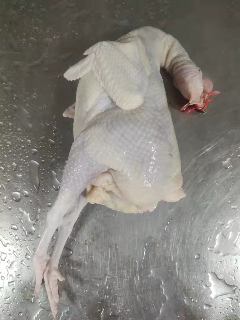 文昌鸡清远扇鸡新鲜现杀