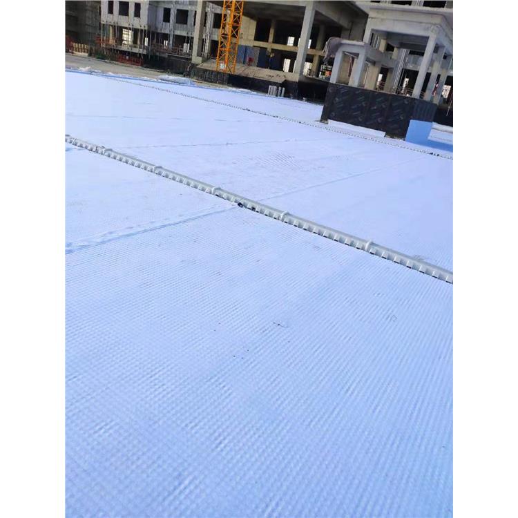 排水异型片 广州高分子防护排水异型片报价