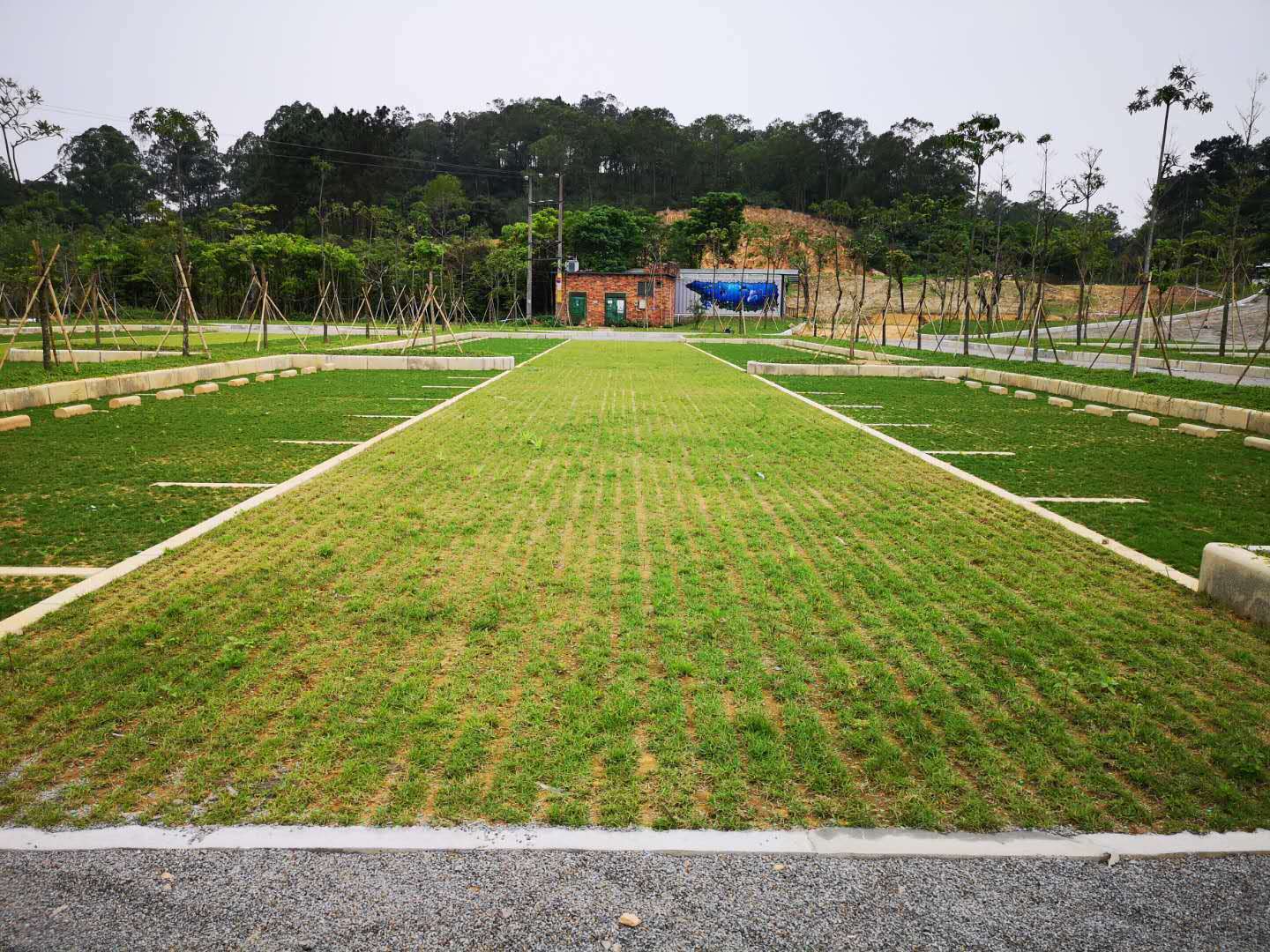 植草格是目前能代替鹅卵石的排水产品,以质量轻便和