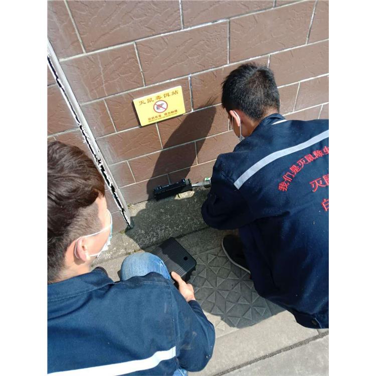 龍泉驛滅鼠公司廠家