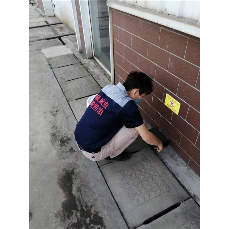 溫江資陽滅鼠公司電話哪里有