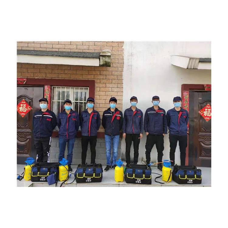 龍泉驛滅鼠公司方案