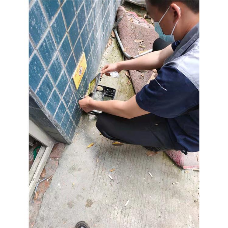 中江殺蟑螂公司廠家