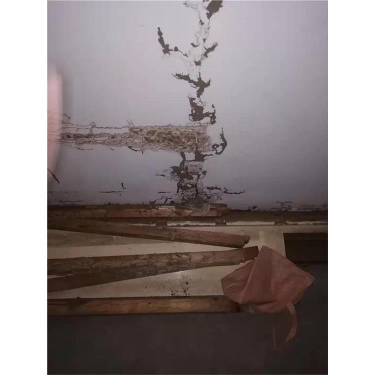 內(nèi)江白蟻防治中心哪里有