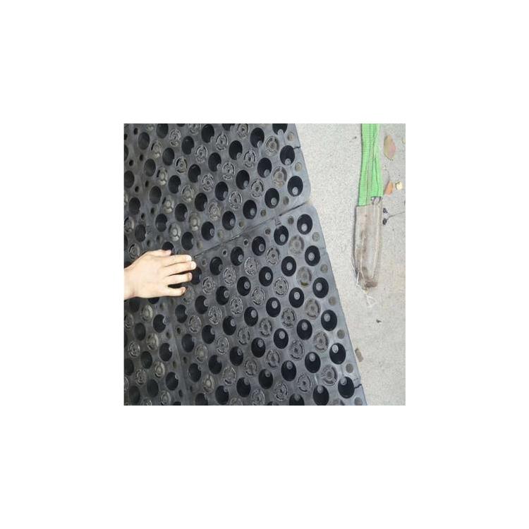 塑料排水板 ?？谒芰吓潘逭猩?/></a>
<div><a href=