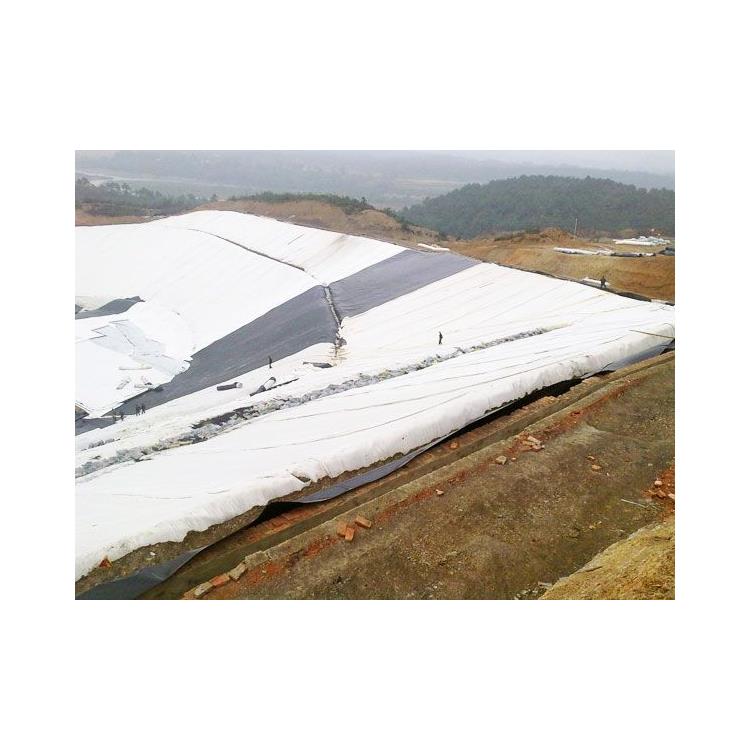 防水土工布 合肥防水土工布供應(yīng)