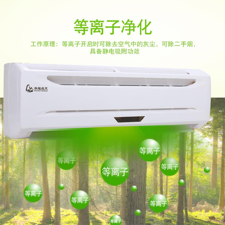 空氣消毒機(jī) 福州臭氧人機(jī)共存消毒機(jī)