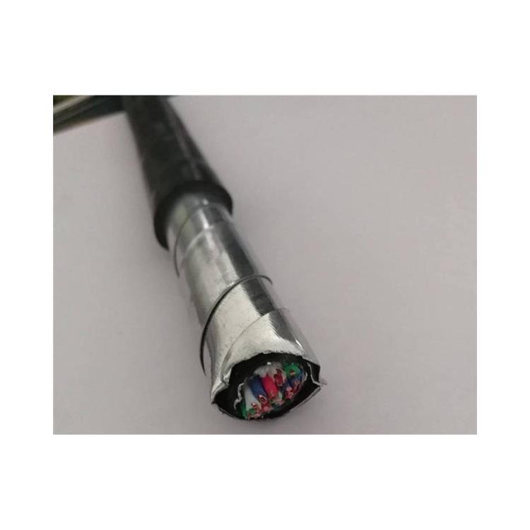计算机信号电缆 保电阻ZR-DJYVP电缆支持订购