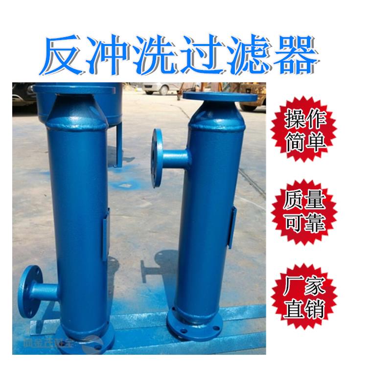 网式自清洗设备 工业反冲洗过滤器安装厂家