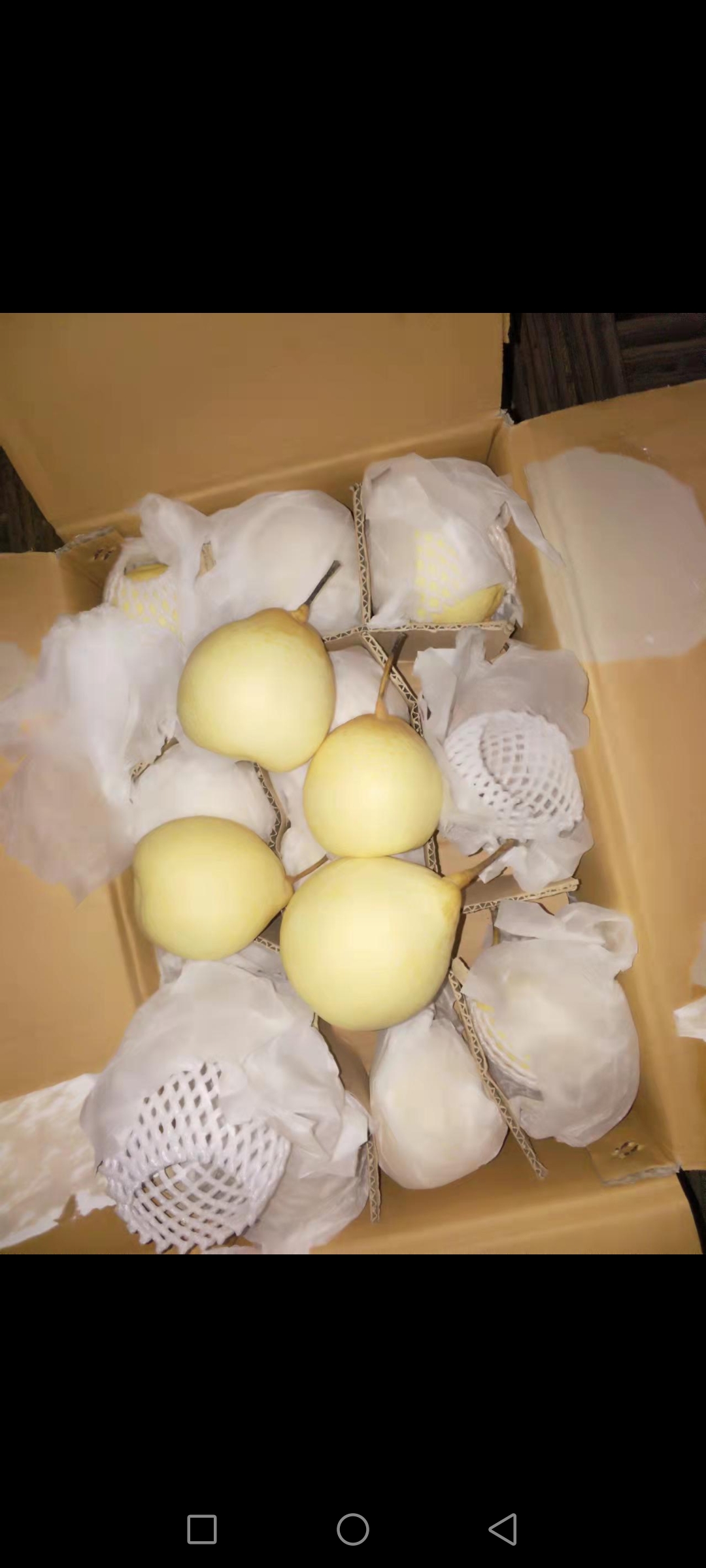 鸭梨小鸭梨出口基地