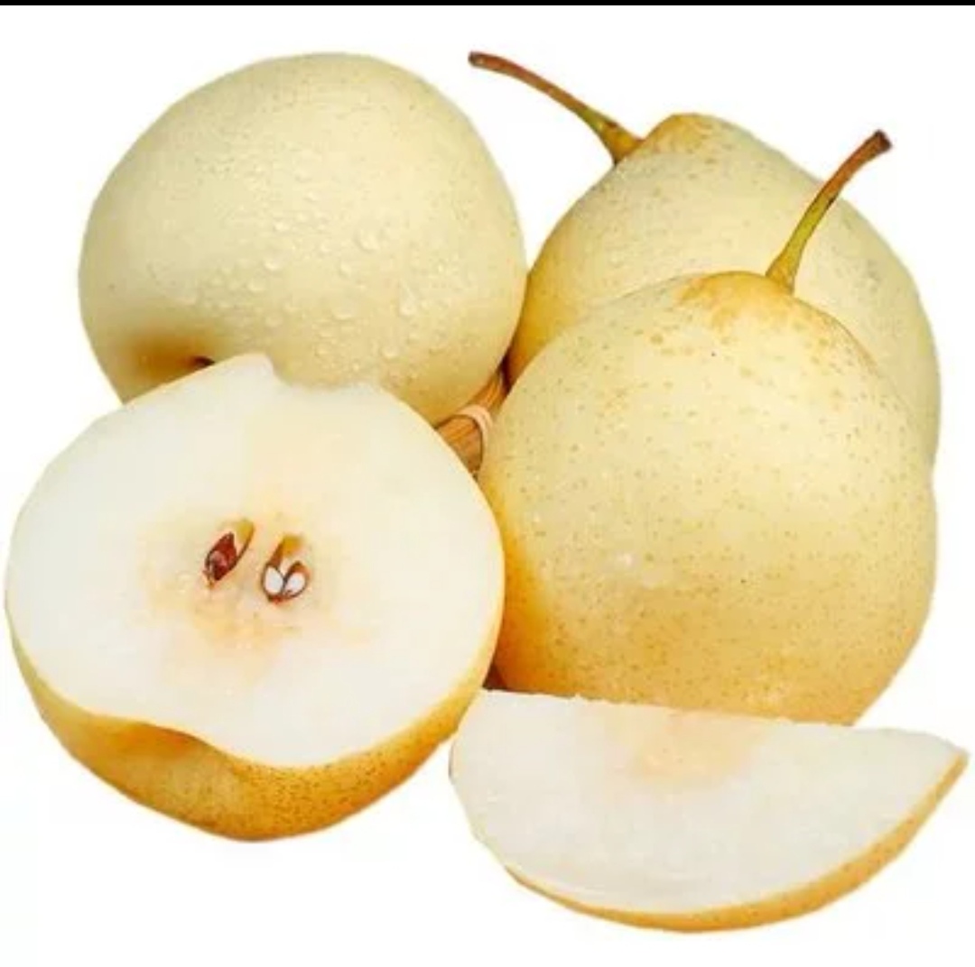 鸭梨赵县鸭梨出口基地