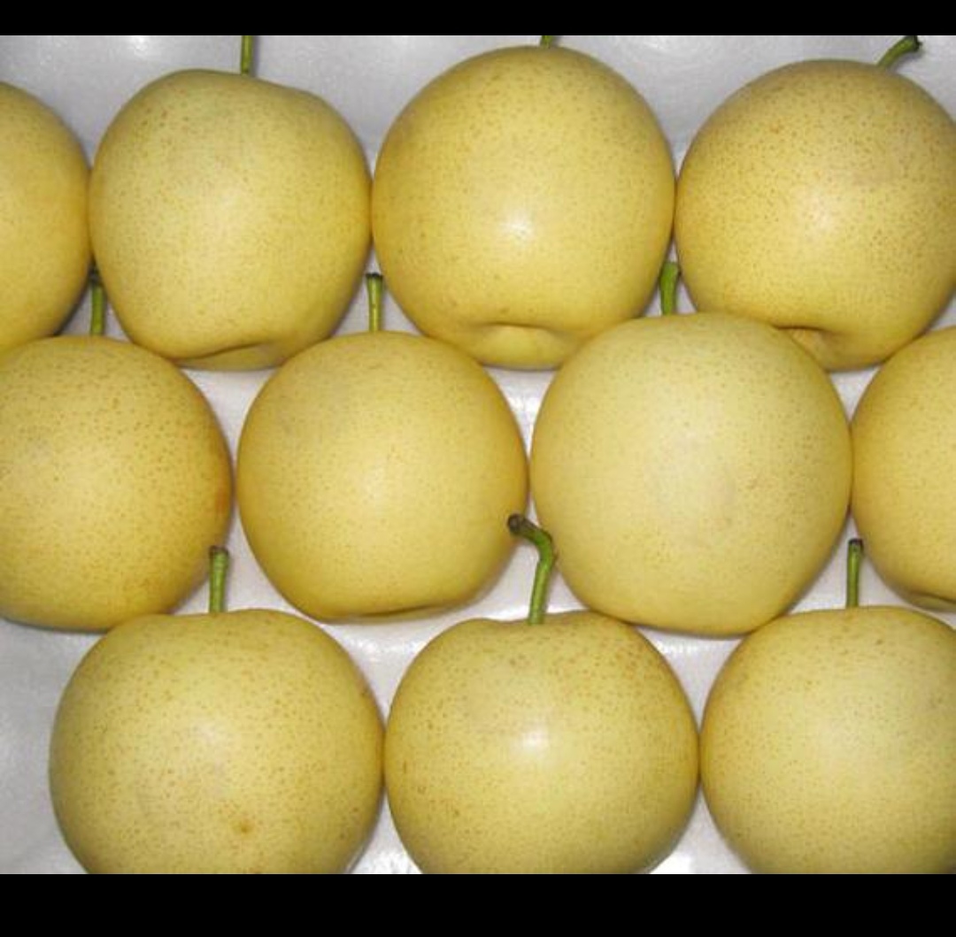 黄冠梨 二级黄冠梨 市场价格