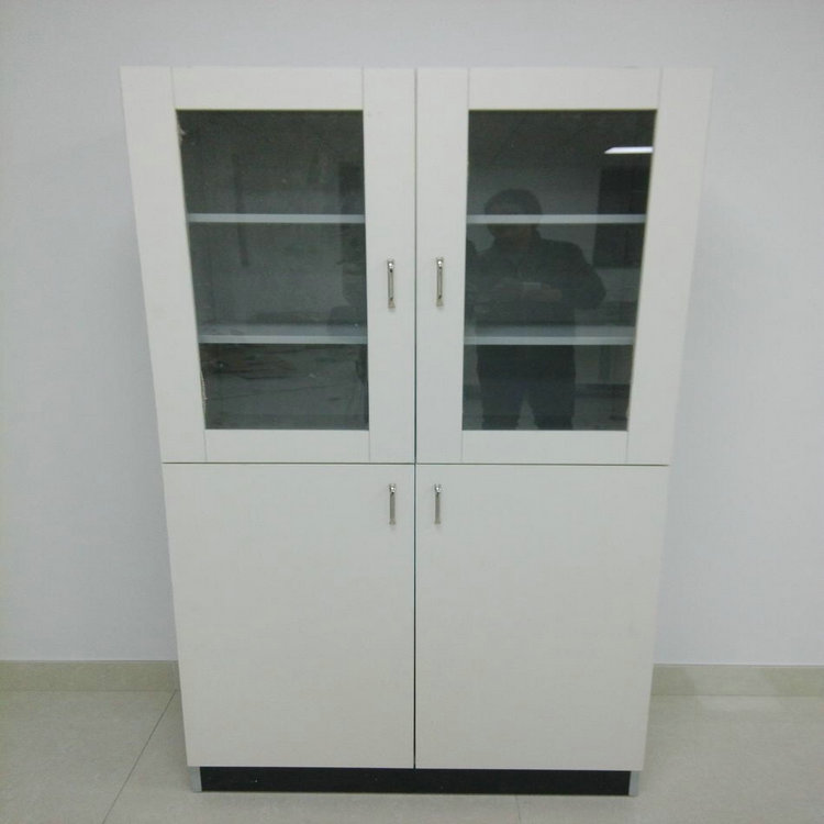 化验室药品柜 长春全木实验柜全木药品柜推荐 品种齐全
