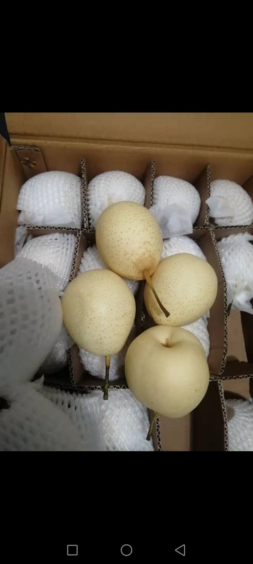 鸭梨小鸭梨基地