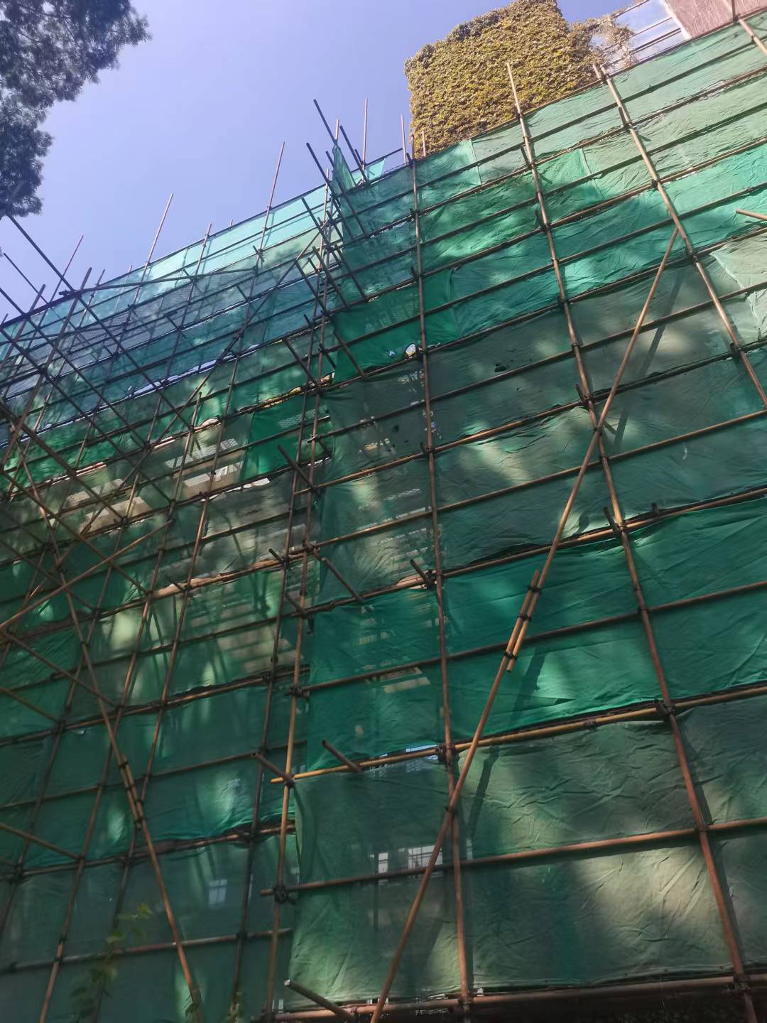 龙岗竹排山搭 东莞市 承接