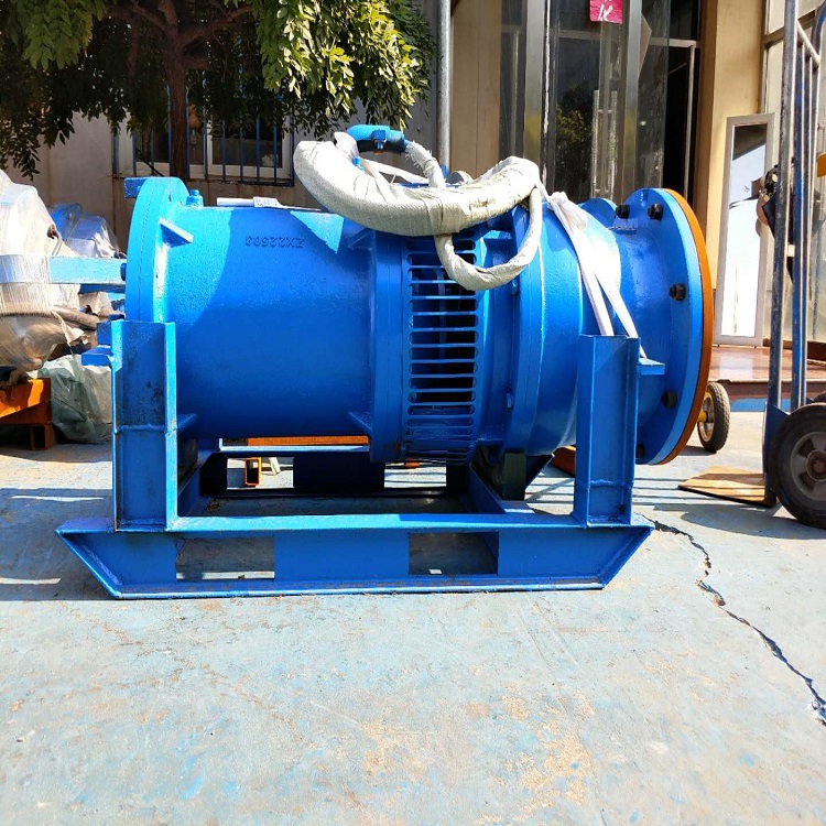 泵站安装轴流泵 福州大流量潜水轴流泵