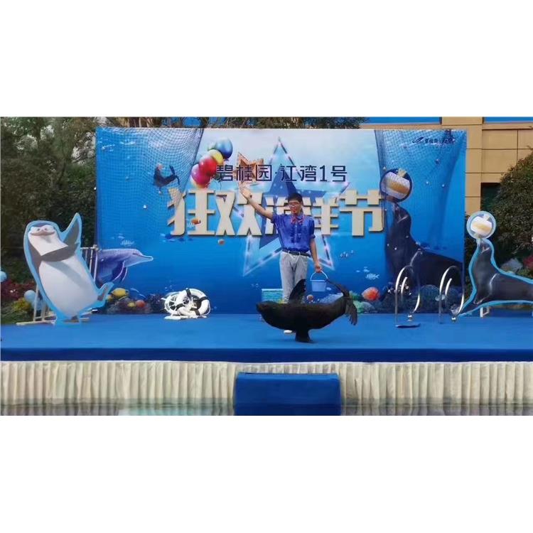 海狮展览出租 成都海狮养殖租赁联系方式
