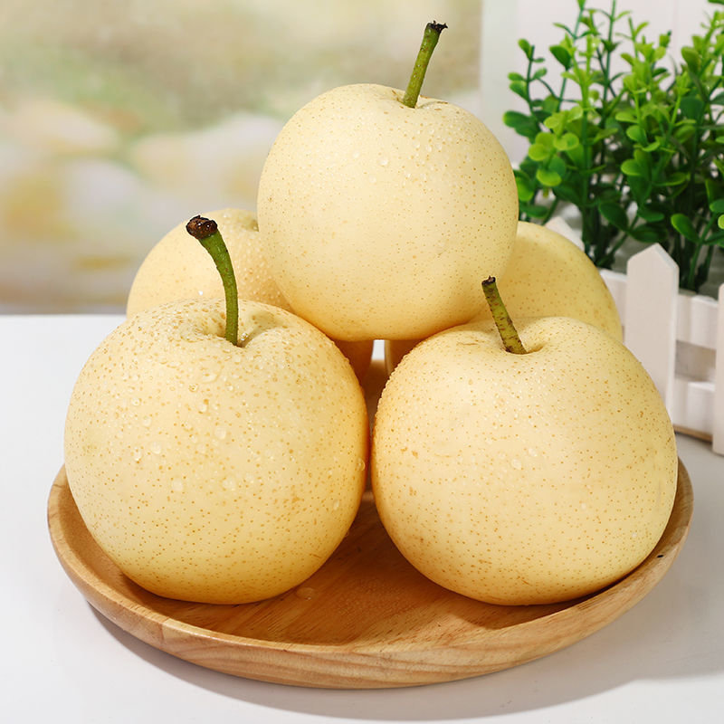 果型周正皇冠梨雪梨 现摘新鲜 产地代发-搜了网