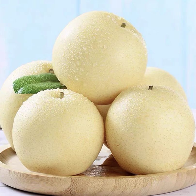 新鲜雪梨皇冠梨 品种好 基地现摘现发_搜了网