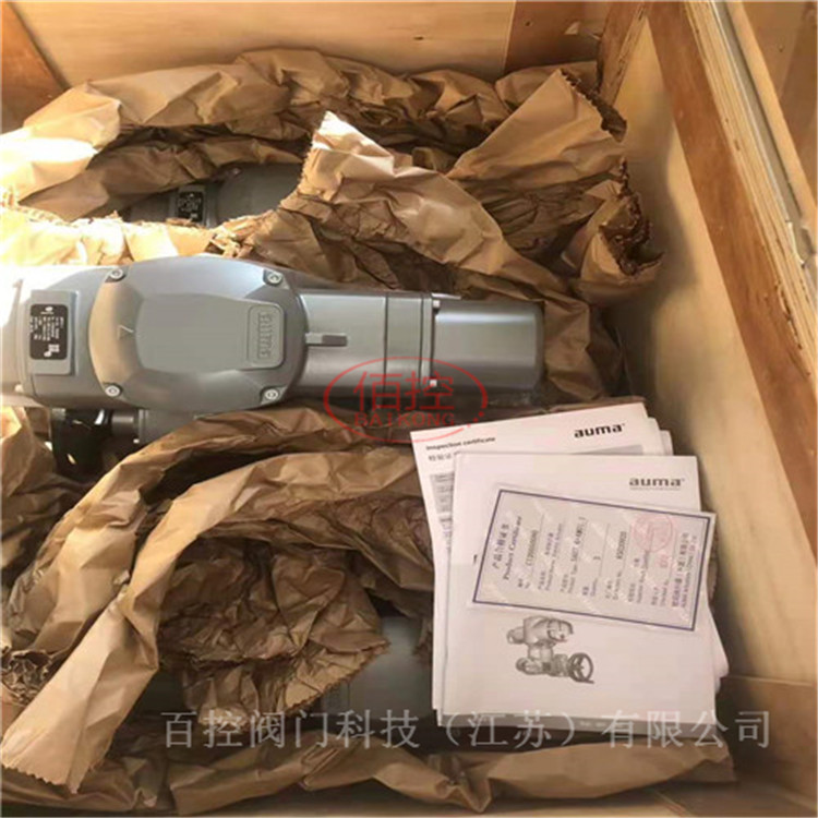 欧玛AUMA控制单元 01.1欧玛小接触器制造商