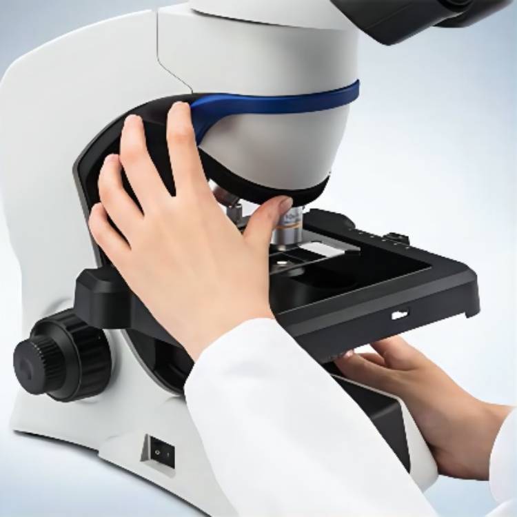 荧光生物显微镜 广西奥林巴斯明场观察显微镜 全国发货