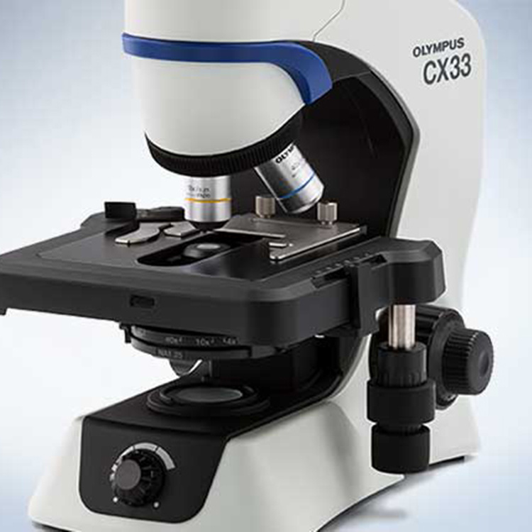 天津双目显微镜 奥林巴斯暗场观察显微镜 详细参数