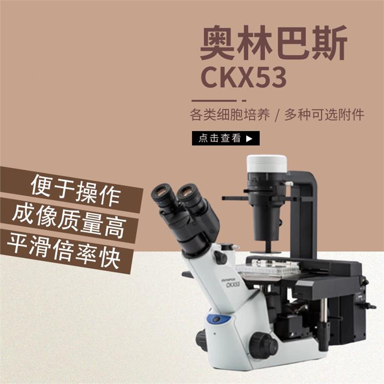 奥林巴斯CKX53倒置荧光相衬显微镜 吉林倒置生物显微镜 LED照明