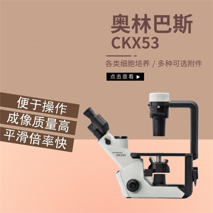 奥林巴斯CKX53正置生物显微镜 吉林倒置荧光相差显微镜 LED照明