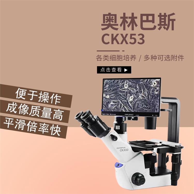 奥林巴斯CKX53倒置生物显微镜 吉林正置生物显微镜 LED照明