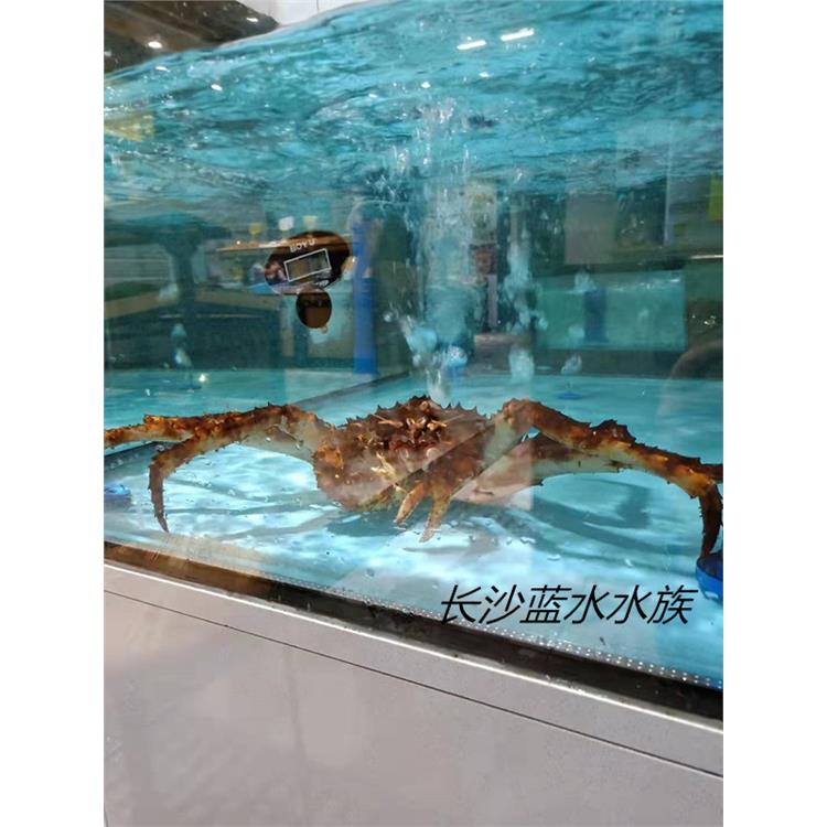 浏阳超市海鲜池 餐馆饭店鱼缸订做工程