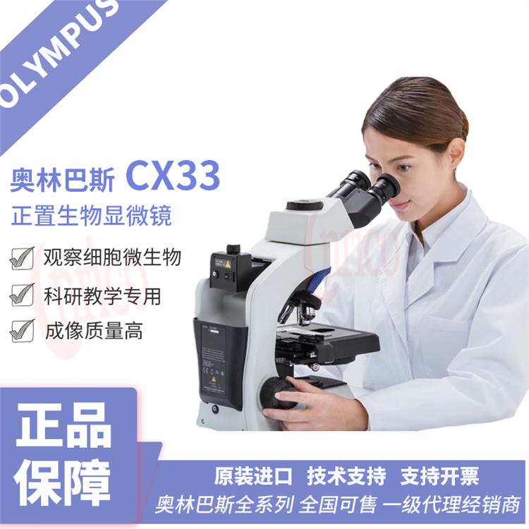 奥林巴斯CX33显微镜 山东显微镜 LED照明