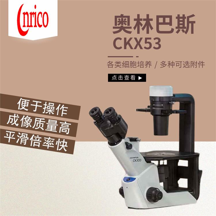 奥林巴斯CKX53荧光生物进口显微镜 宁夏倒置生物显微镜 LED照明