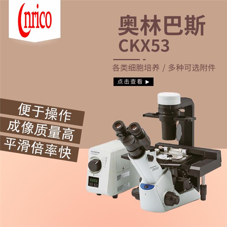 奥林巴斯CKX53倒置生物显微镜 宁夏倒置生物显微镜 LED照明
