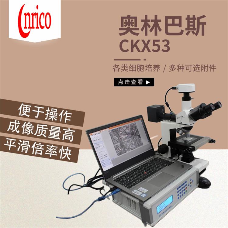 奥林巴斯CKX53荧光生物进口显微镜 福建倒置荧光显微镜 使用详情