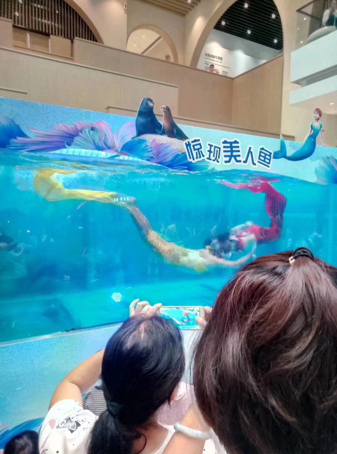 如何成为美人鱼表演者 202309271445151041.jpg