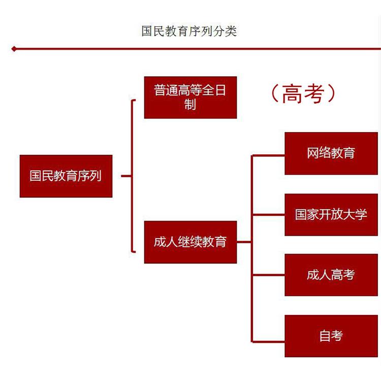 济源2024年高起专 考试科目