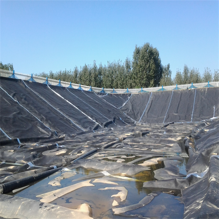 衡水磷石膏渣库土工膜 是什么 蓄水池人工湖土工膜