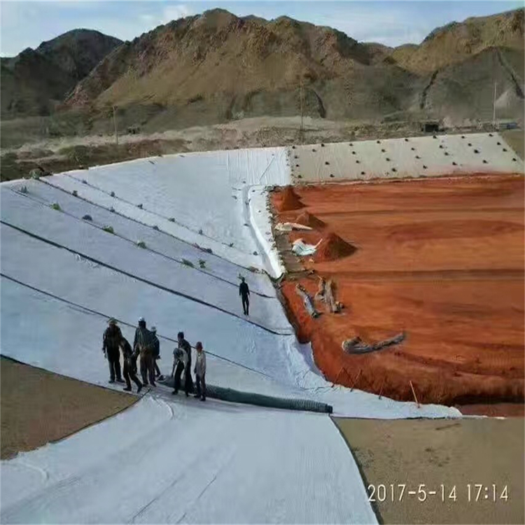 抗拉伸垃圾填埋场防渗膜 哪家质量好 淮北防水环保蓄水池防渗膜