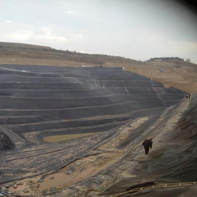 乌海抗老化化粪池防渗膜 抗拉伸沉淀池防渗膜 哪里便宜呢