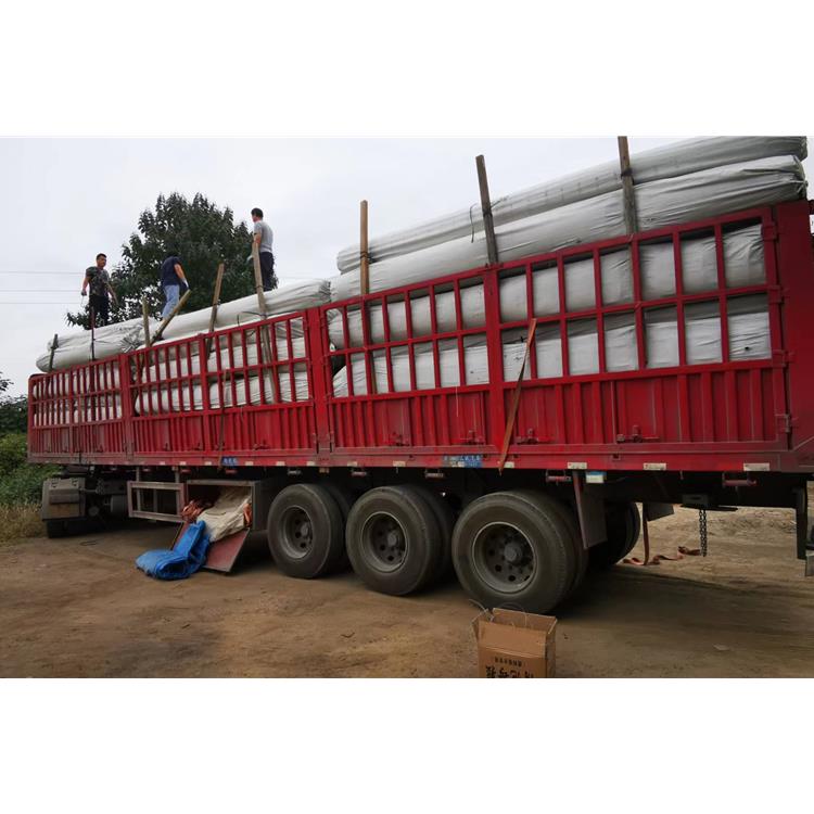 双向钢塑格栅 海口钢塑格栅 工厂