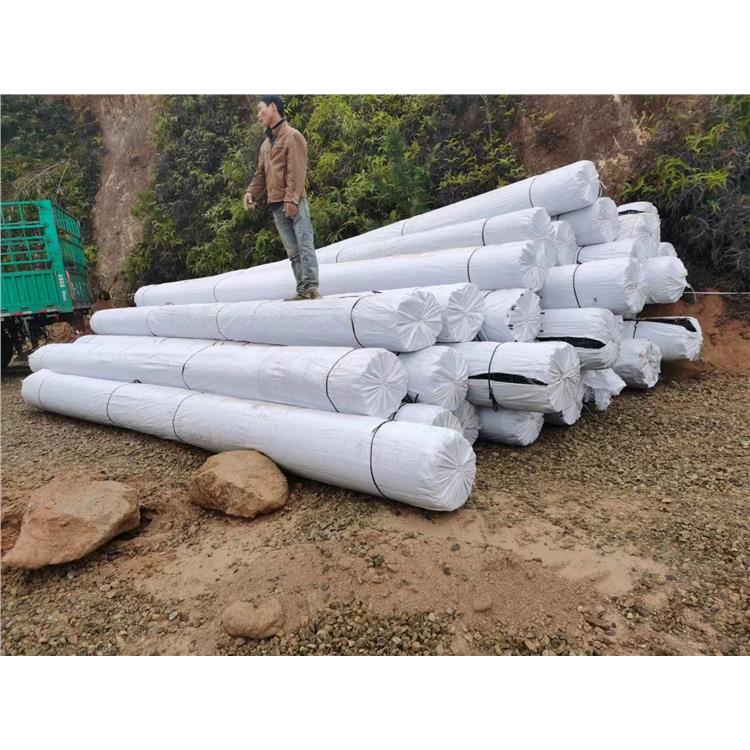 8根钢丝土工格栅 乌鲁木齐100KN软土基钢塑格栅