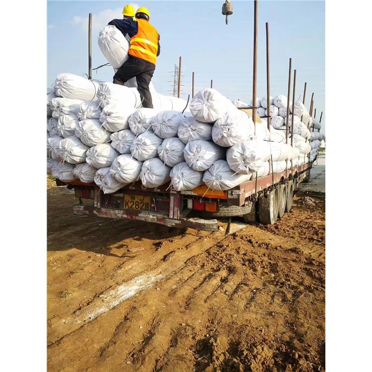 钢塑土工格栅 批发 武汉14根钢丝土工格栅