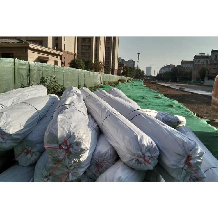 拉萨8根钢丝土工格栅 带钢丝土工格栅 厂家