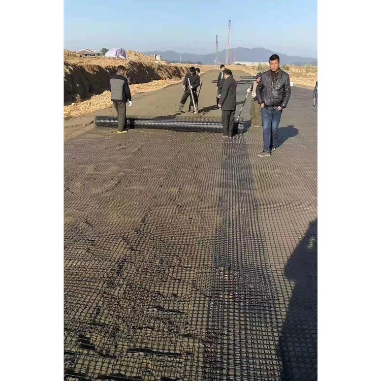 哈尔滨双向拉伸土工格栅 双向拉伸土工格栅 供应商