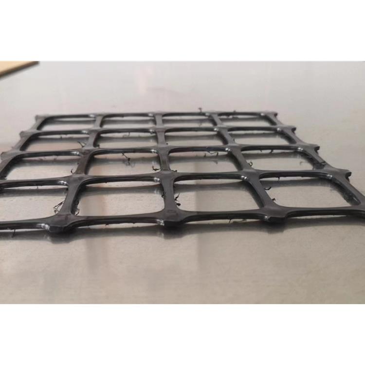 20KN双拉格栅 兰州TGSG30KN国标土工格栅 生产厂家