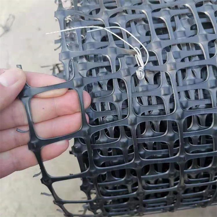 西安养殖围栏网 双向拉伸土工格栅