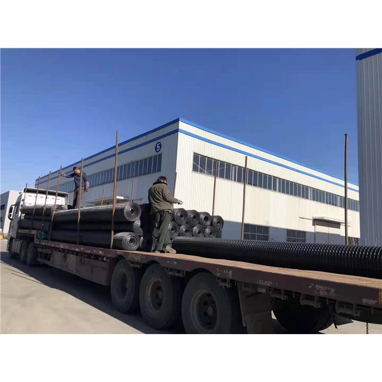 20KN双拉格栅 太原双向拉伸塑料格栅