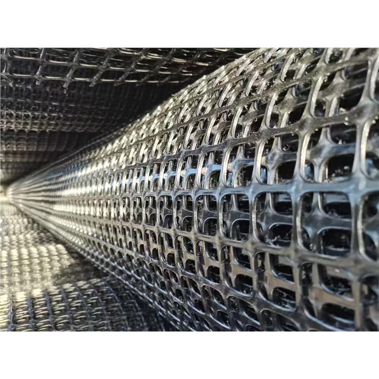 广州双向塑料土工格栅 批发