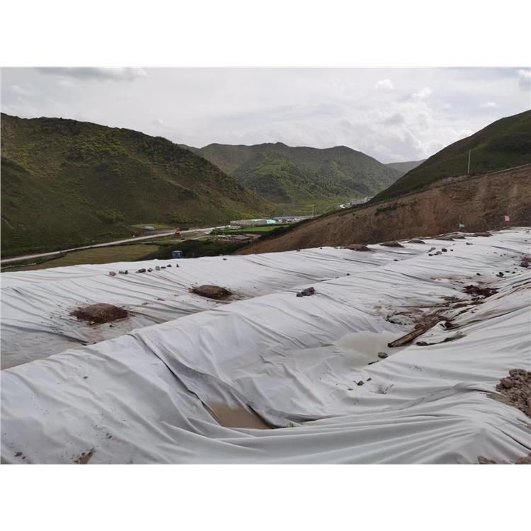 贵阳涤纶短丝土工布 长丝土工布 批发